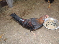 DSCN2072.JPG