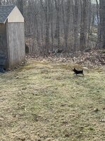 53998C42-1EA3-4A79-BC30-227E519C58DF.jpeg