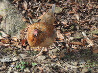 DSCN2111.JPG