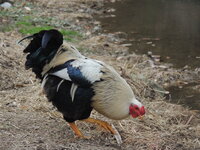 DSCN2135.JPG