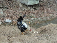 DSCN2140.JPG