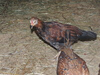 DSCN2084.JPG