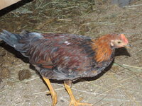 DSCN2081.JPG
