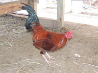 DSCN1738.JPG