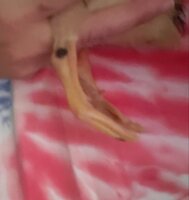 20200111_115950.jpg
