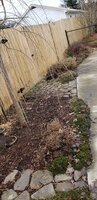 20200112_122438.jpg