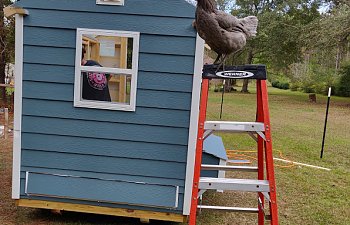 IMG_20191014_113052.jpg