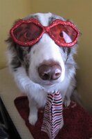 Trip 10th birthday fancy G.jpg