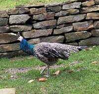 IMG_8205 (2).JPG IMG_8205 (2).JPG