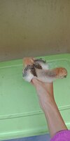 IMG20200117172344.jpg