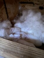 71782CC2-A92D-4754-8C37-8C062F2141D4.jpeg