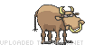 bullshit-bs-smiley-emoticon.gif