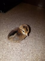20200121_022033.jpg