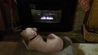 20181220_161819.jpg