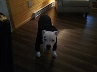 20171228_144827.jpg