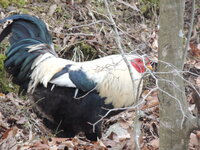 DSCN2170.JPG