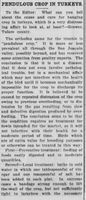 Pacific Rural Press 11 October 1913 pendulas crop_1.png
