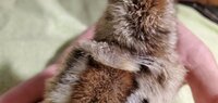 20200126_104044.jpg