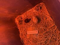 4DFA201E-8990-4CDE-8718-7BBCEAC02C27.jpeg