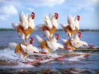 27DA91C2-341B-4DE8-A84E-B9FD0B1E01DE.jpeg