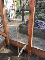 IMG_4798.jpg