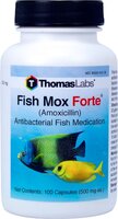 fish amoxicillin 500mg.jpg