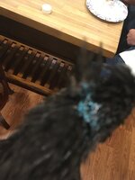 03524166-752A-4AD0-B6FB-76A43CBF05DE.jpeg