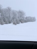 F1943C5A-A505-42AF-8B76-5D2309665B51.jpeg