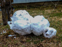 snow person 24 hrs.jpg