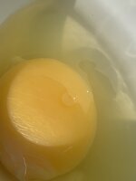 404F2453-0F19-418A-928F-F26AD36BD87D.jpeg