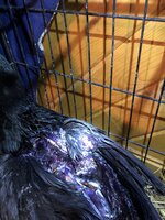 858F8642-BE3B-48F8-A550-6DFBC2E8D495.jpeg