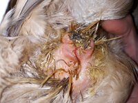 WhatsApp Image 2020-01-20 at 07.04.26.jpeg