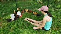20190707_140947.jpg 20190707_140947.jpg