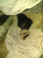 IMG_20200204_010555026.jpg
