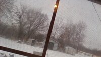 IMG_20200205_150736.jpg