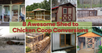 8 Awesome Shed to Chicken Coop Conversions