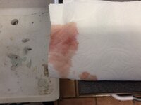 A27C523E-209A-44D1-85DB-76CCC646C9DF.jpeg