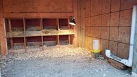 20200124_173503.jpg