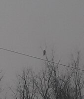 20200211_131425.jpg