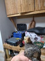 IMG_20200212_200134.jpg