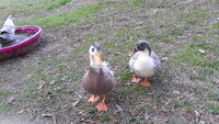 20200208_085552.jpg