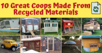 10 Great Coops Made From Recycled Materials