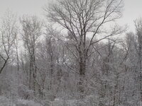 DSCN0951.JPG