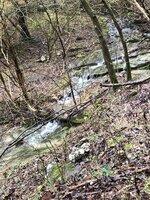2020-02-13_07-58-19_925.jpg