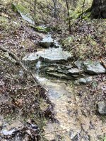 2020-02-13_08-04-12_778.jpg