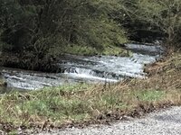 2020-02-12_15-30-20_468 (2).jpg