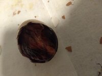 IMG_20200213_171211889.jpg