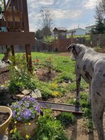 20190418_093134.jpg