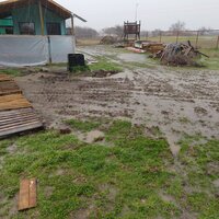 IMG_20200210_162738624.jpg