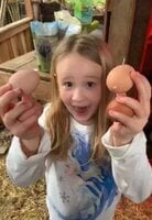 4-eggs.jpg